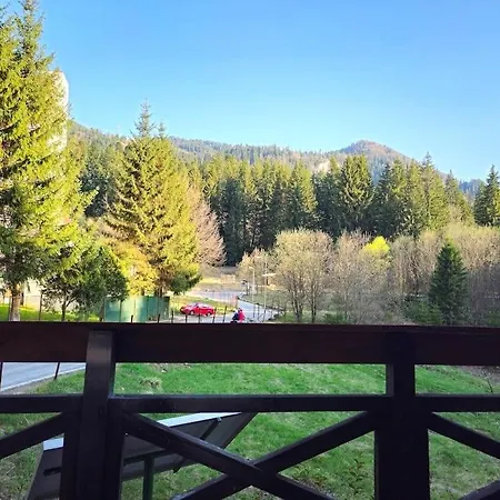 Nira Alpina Lodge&Apart Poiana Braşov Exterior foto