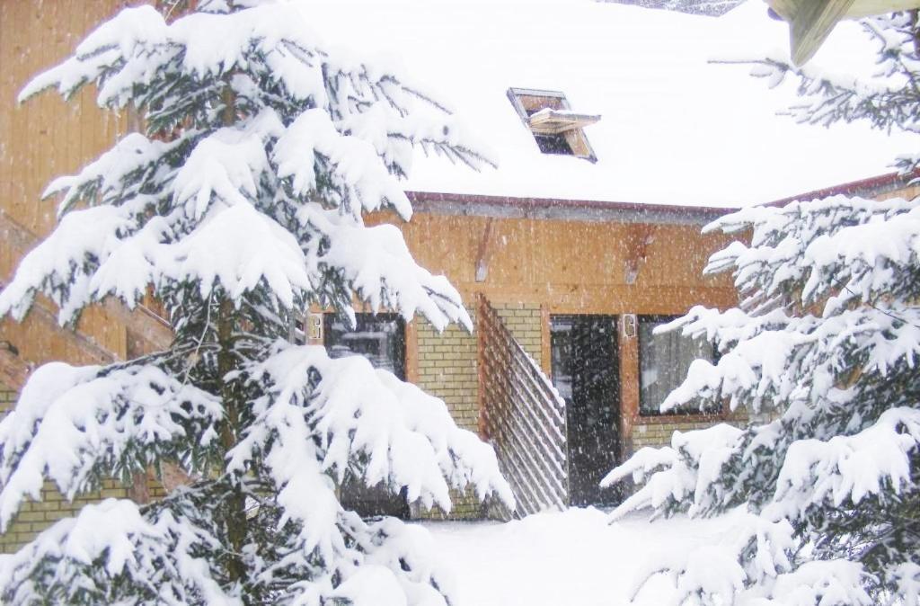 Hotel de apartamente Nira Alpina Lodge&apart 3*